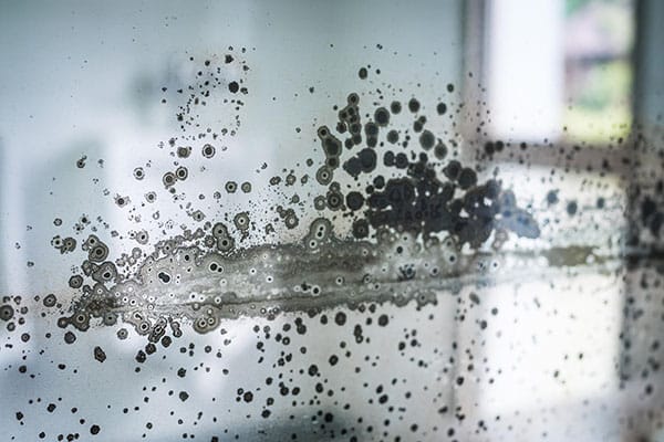 Interior Spots on Mirror